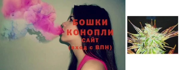 шишки Коряжма