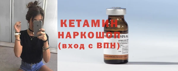 шишки Коряжма