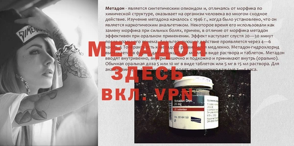 прущие грибы Козельск