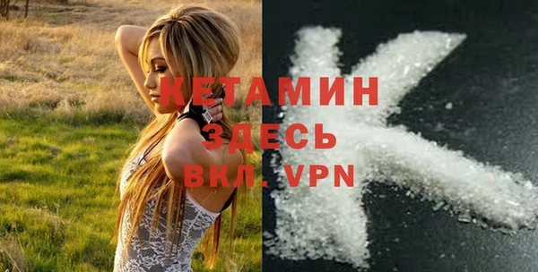шишки Коряжма