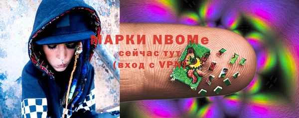 стаф Козловка