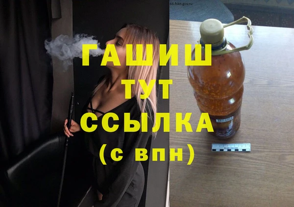шишки Коряжма