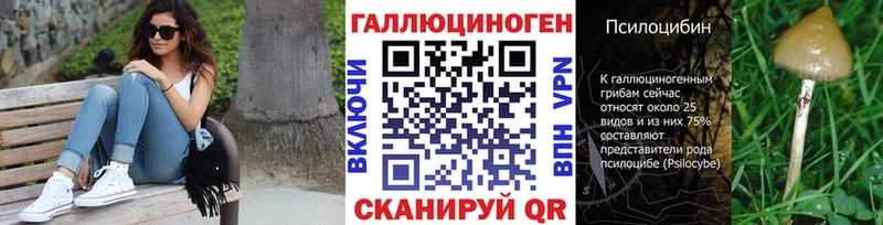 shop как зайти  Венёв  Галлюциногенные грибы Cubensis 